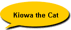 Kiowa the Cat